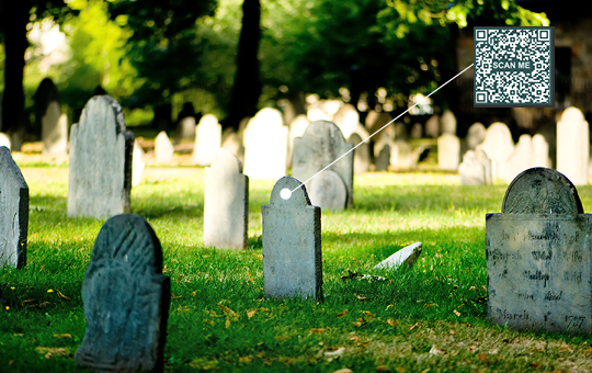 A sunny tree-lined path with a QR Code attached to one of the trees.