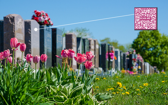 A sunny tree-lined path with a QR Code attached to one of the trees.
