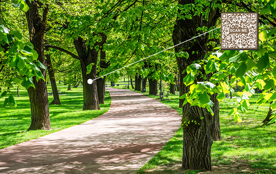 A sunny tree-lined path with a QR Code attached to one of the trees.